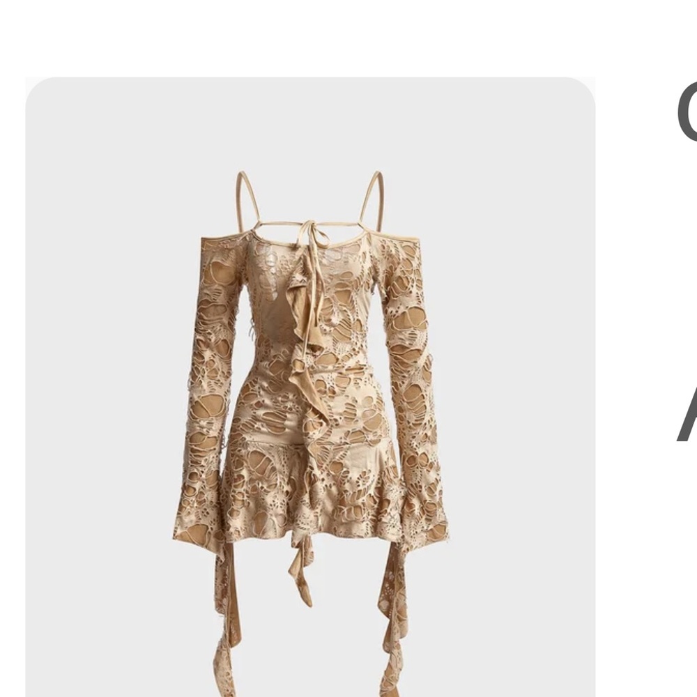 Elegant Tan Lace Dress with Tie Details